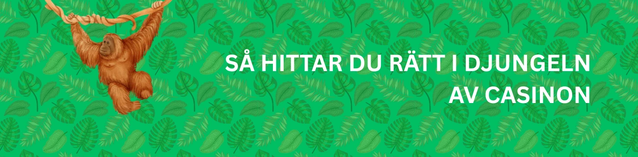 Så hittar du rätt i djungeln av casinon